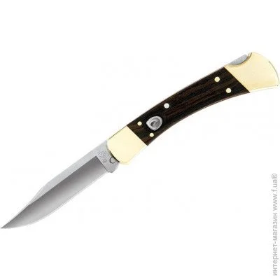   Buck Folding Hunter Auto (110BRSA)