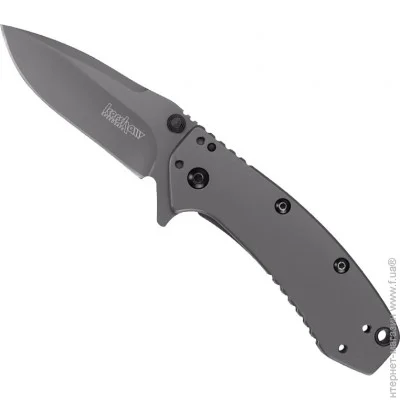   Kershaw Cryo (1555TI)