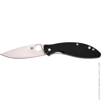   Spyderco Astute (C252GP)