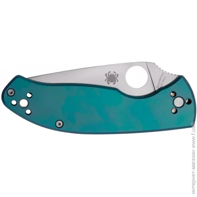   Spyderco Tenacious Titanium, blue (C122TIBLP)