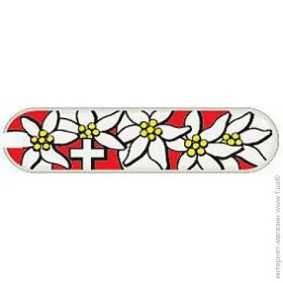  / Victorinox    58  Fa / (1049-VxC6284.4)