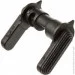BCM  Ambi  : (SELECTOR-SAFETY-AMBI-SEMI)