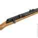   Beeman Raider PCP 4,5  (1330)