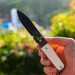   Cjrb Knives CJRB Locust Black Blade, AR-RPM9, Black PVD Steel+ White G10 Inlay :white (J1951-BBW)
