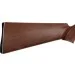   Crosman Classic (2100B)