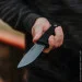   Cst/berger 3V Master Hunter (CST CS-36CB)
