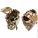 Easyfit ϳ      Multicam Arid (MOLLE,   , , )