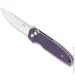  Ganzo Firebird FH926-PL 