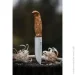   Helle Nordlys FG (1671)