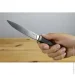   Lionsteel Ago, Carbon fiber :black (AG01 CF)