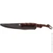   Lionsteel Ago, Santos wood :brown (AG01 ST)