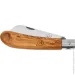   Main Knives German line, olive wood handle brown (1303)