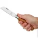   Main Knives German line, olive wood handle brown (1303)
