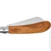   Main Knives German line, olive wood handle brown (1303)