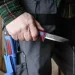   Morakniv Basic 511, Color of the year 2025 :blue/dala red (14501)