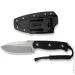   Sencut Toxodon S24036-1