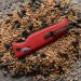   SOG Altair XR (Canyon Red/Stone Blue) (SOG 12-79-02-57)
