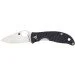   Spyderco Alcyone (C222GPGY)