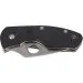   Spyderco Ambitious (C148GP)