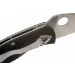   Spyderco Ambitious (C148GP)