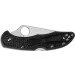   Spyderco Delica Black FRN, Flat Graund (C11FPBK)