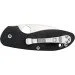   Spyderco Efficient (C216GP)