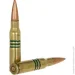 - STS  .308Win (600.18.43)